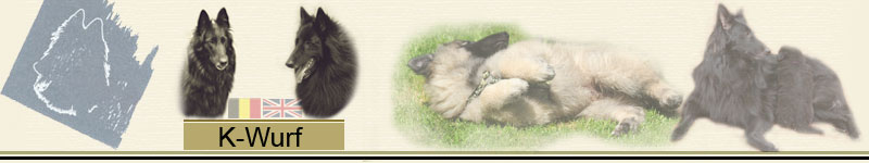 K_Wurf_Banner